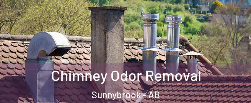 Chimney Odor Removal Sunnybrook - AB