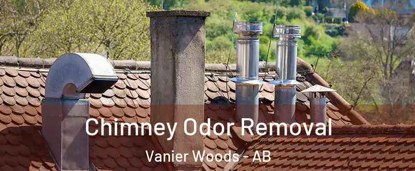 Chimney Odor Removal Vanier Woods - AB