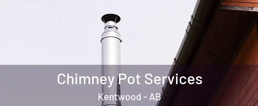 Chimney Pot Services Kentwood - AB