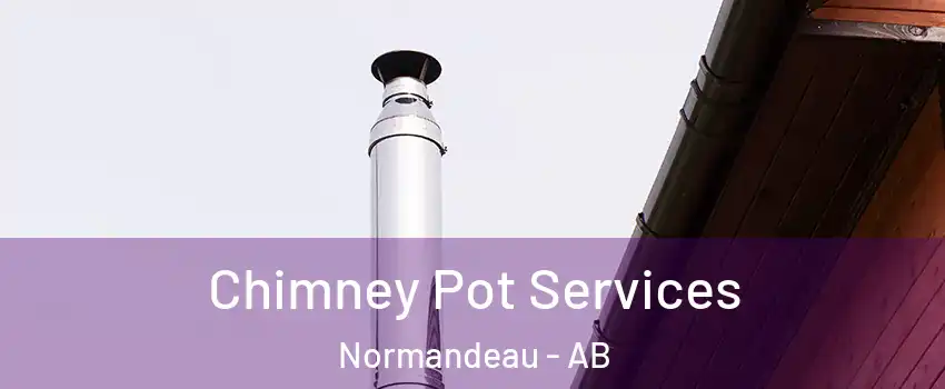 Chimney Pot Services Normandeau - AB