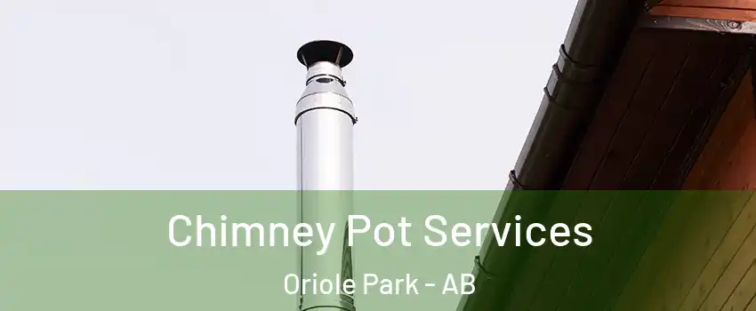 Chimney Pot Services Oriole Park - AB