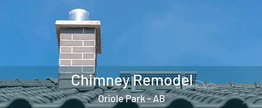 Chimney Remodel Oriole Park - AB