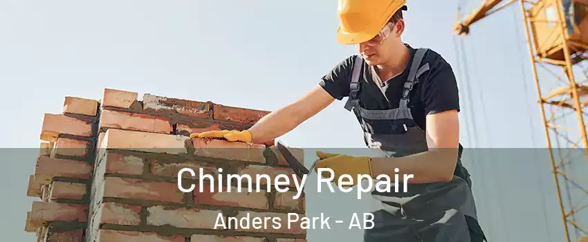  Chimney Repair Anders Park - AB