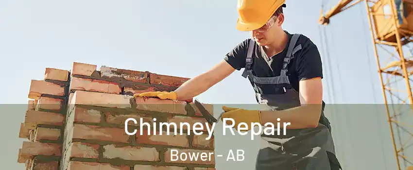 Chimney Repair Bower - AB