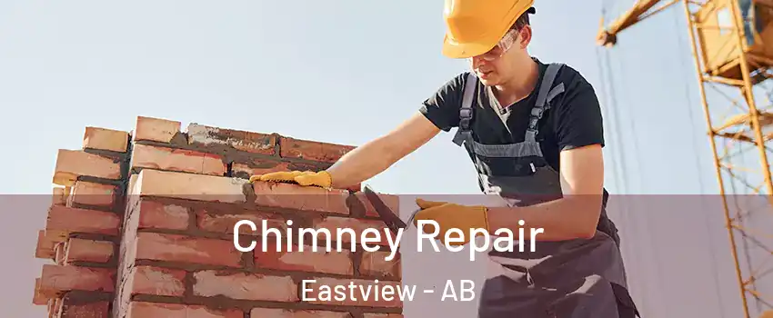  Chimney Repair Eastview - AB