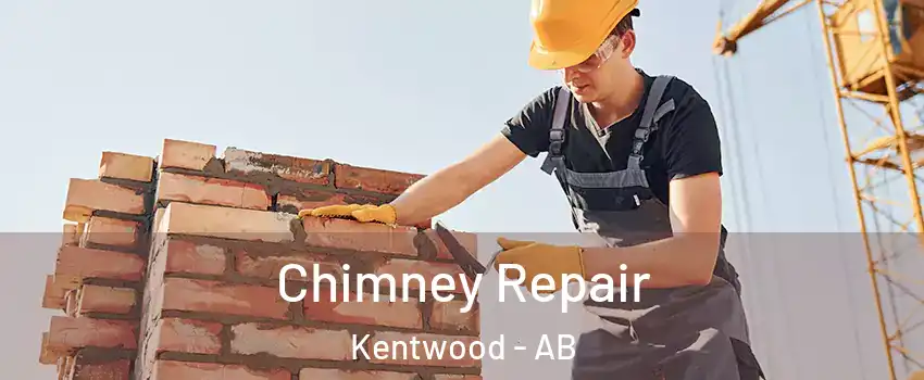 Chimney Repair Kentwood - AB