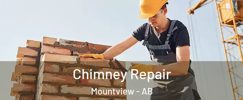 Chimney Repair Mountview - AB