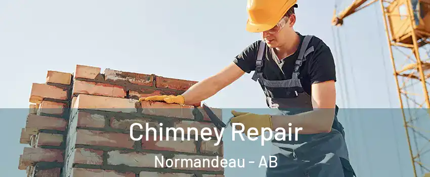 Chimney Repair Normandeau - AB