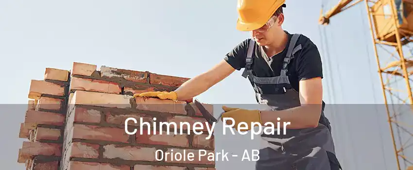 Chimney Repair Oriole Park - AB
