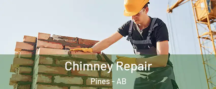  Chimney Repair Pines - AB