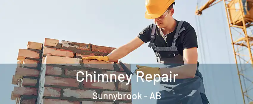 Chimney Repair Sunnybrook - AB