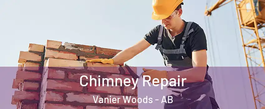Chimney Repair Vanier Woods - AB