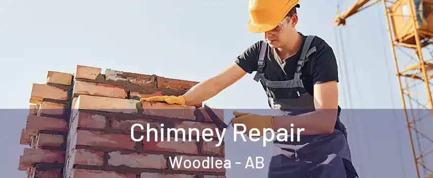 Chimney Repair Woodlea - AB