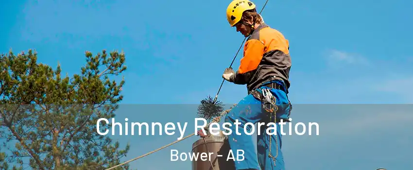  Chimney Restoration Bower - AB