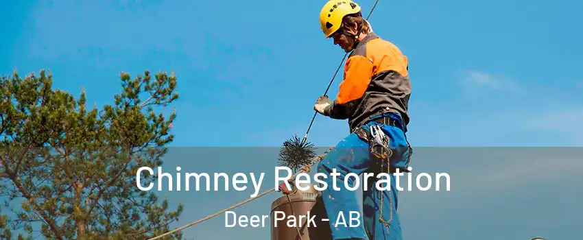Chimney Restoration Deer Park - AB