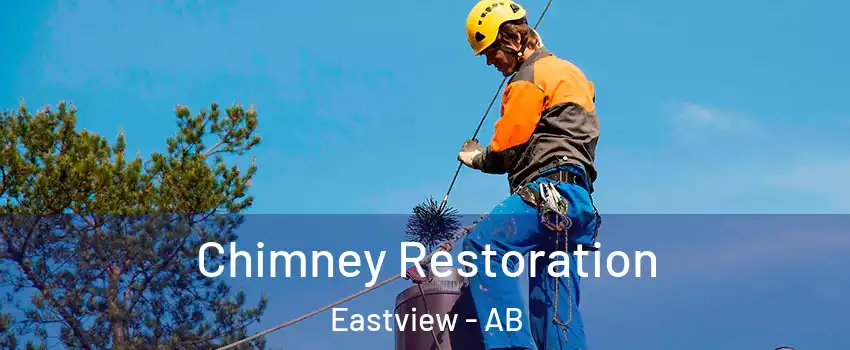  Chimney Restoration Eastview - AB