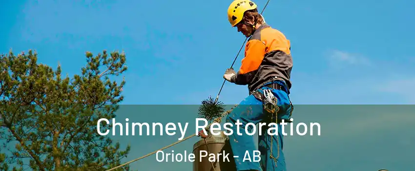  Chimney Restoration Oriole Park - AB
