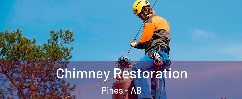  Chimney Restoration Pines - AB