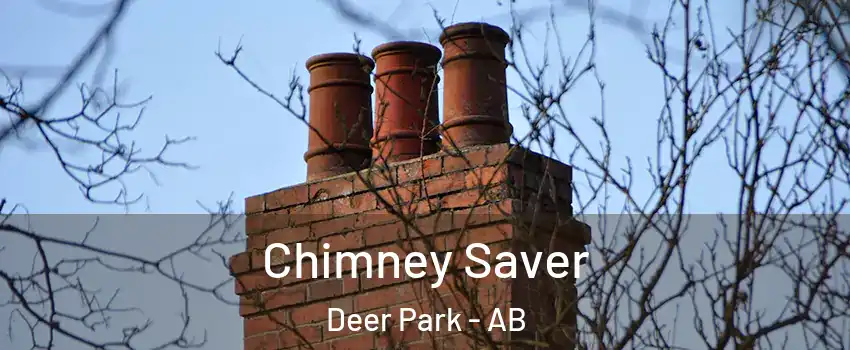  Chimney Saver Deer Park - AB
