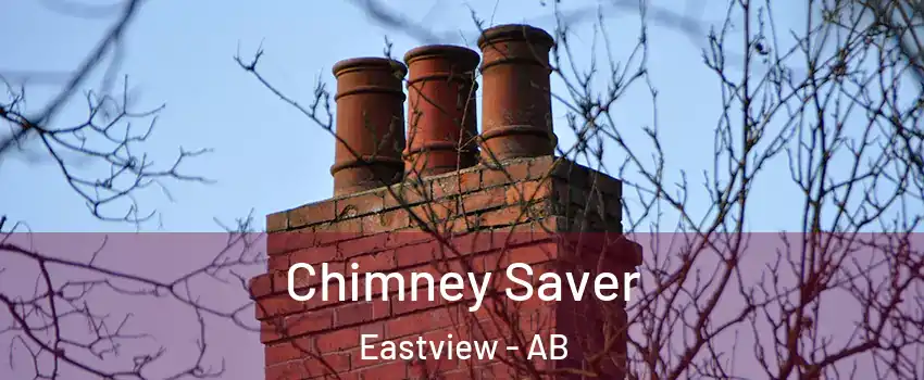Chimney Saver Eastview - AB
