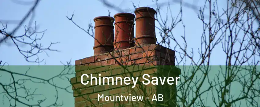Chimney Saver Mountview - AB