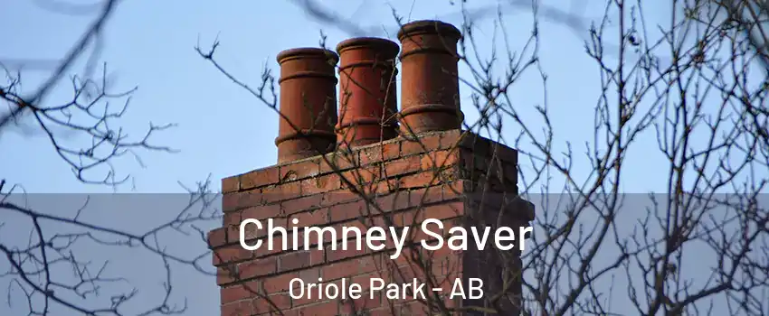 Chimney Saver Oriole Park - AB