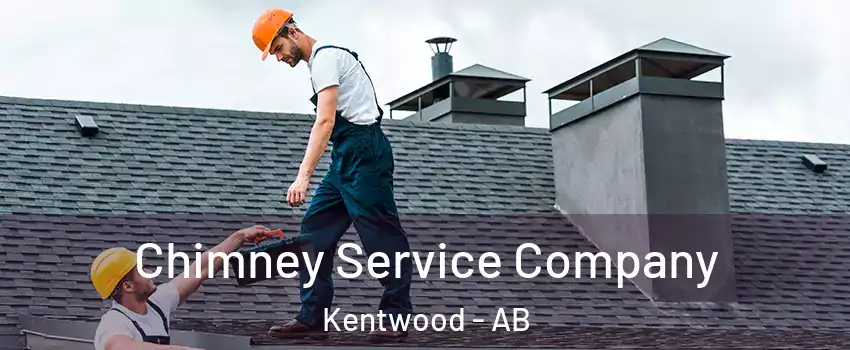  Chimney Service Company Kentwood - AB