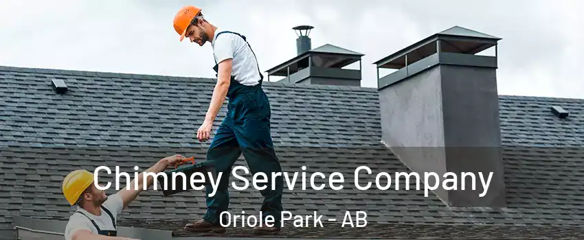 Chimney Service Company Oriole Park - AB