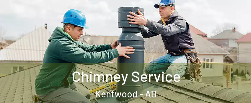 Chimney Service Kentwood - AB