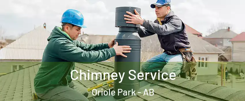 Chimney Service Oriole Park - AB