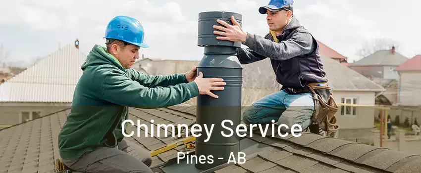 Chimney Service Pines - AB