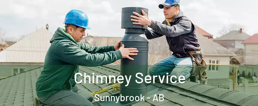  Chimney Service Sunnybrook - AB