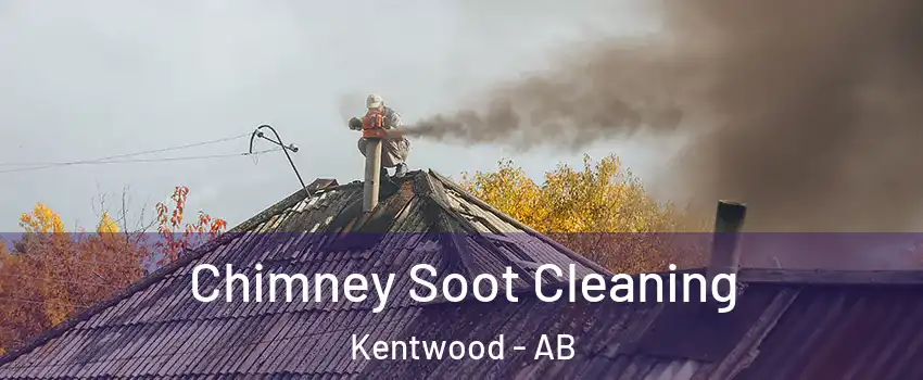  Chimney Soot Cleaning Kentwood - AB