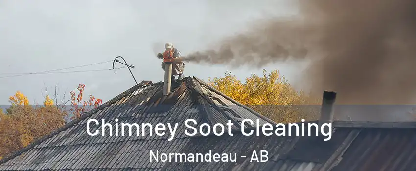Chimney Soot Cleaning Normandeau - AB