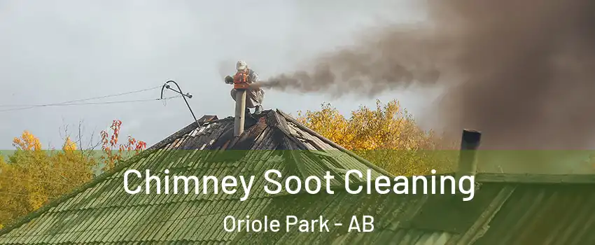 Chimney Soot Cleaning Oriole Park - AB