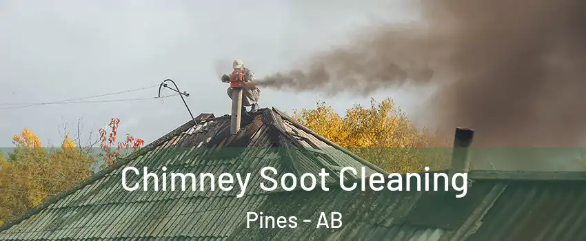 Chimney Soot Cleaning Pines - AB