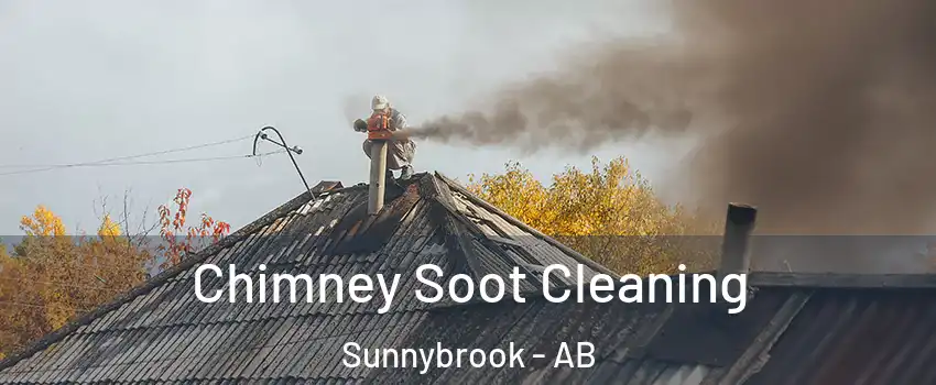  Chimney Soot Cleaning Sunnybrook - AB