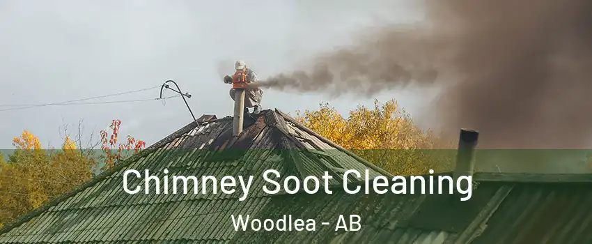 Chimney Soot Cleaning Woodlea - AB