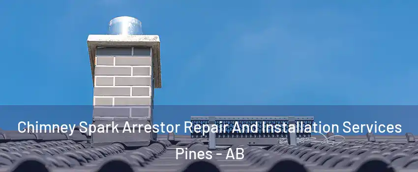  Chimney Spark Arrestor Repair And Installation Services Pines - AB