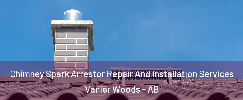 Chimney Spark Arrestor Repair And Installation Services Vanier Woods - AB