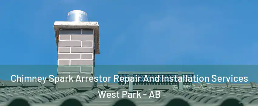 Chimney Spark Arrestor Repair And Installation Services West Park - AB