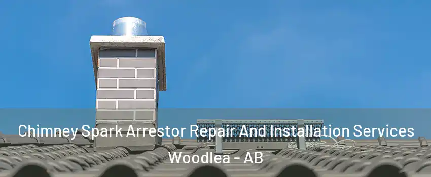  Chimney Spark Arrestor Repair And Installation Services Woodlea - AB