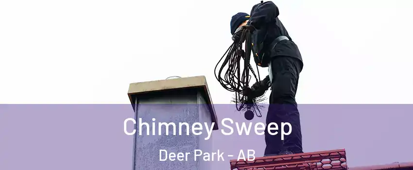  Chimney Sweep Deer Park - AB