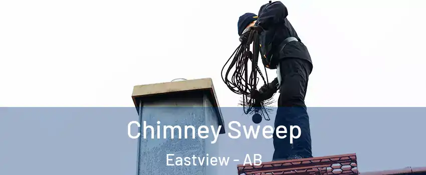 Chimney Sweep Eastview - AB