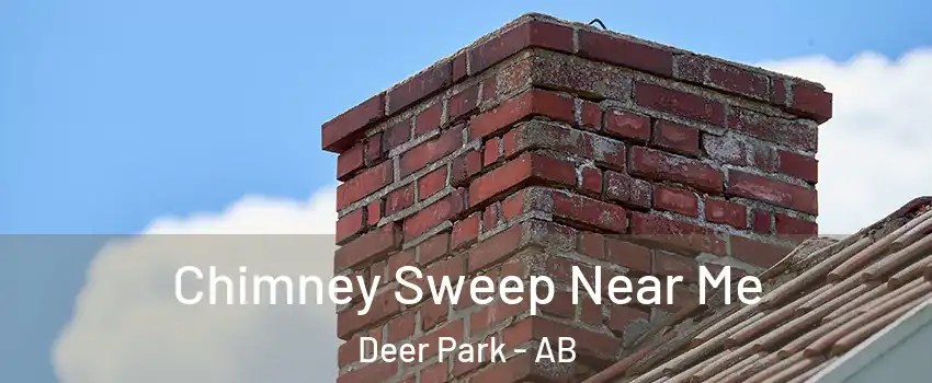  Chimney Sweep Near Me Deer Park - AB