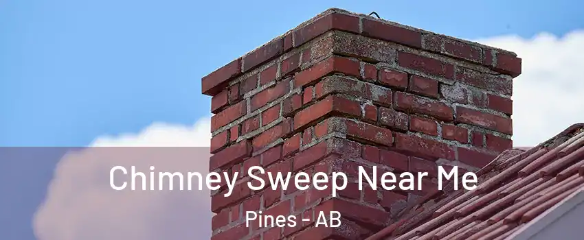 Chimney Sweep Near Me Pines - AB