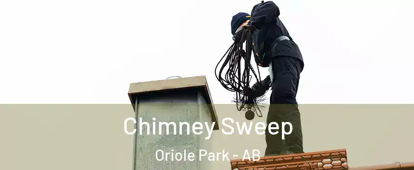 Chimney Sweep Oriole Park - AB