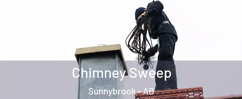  Chimney Sweep Sunnybrook - AB
