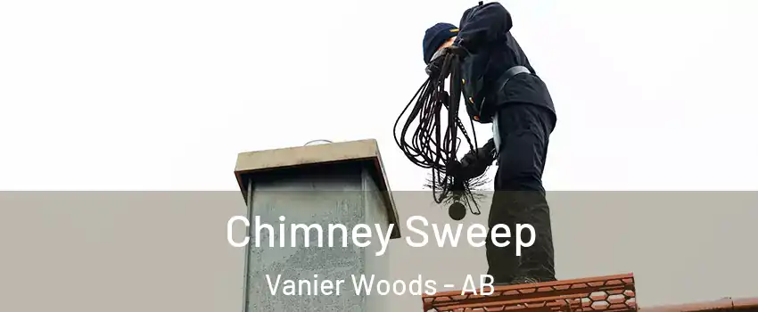 Chimney Sweep Vanier Woods - AB