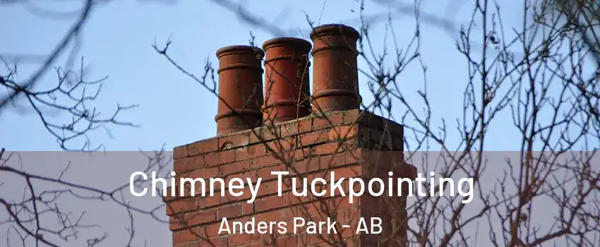 Chimney Tuckpointing Anders Park - AB